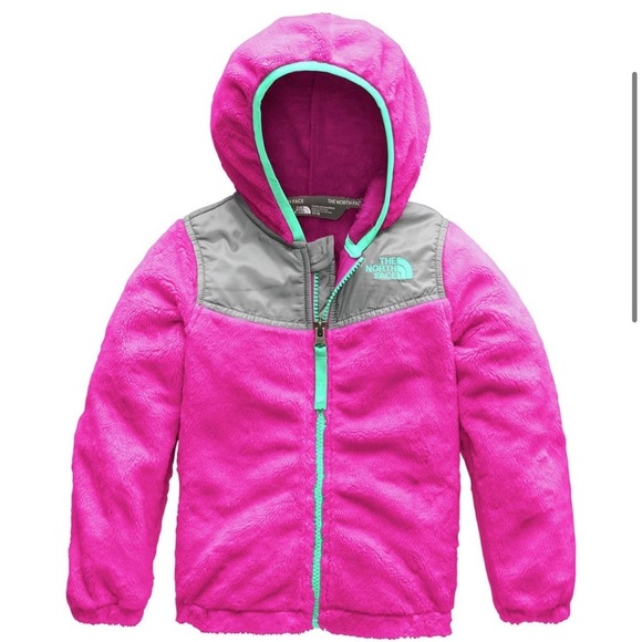 The North Face Oso Hooded Fleece Jacket - Picture 1 of 3